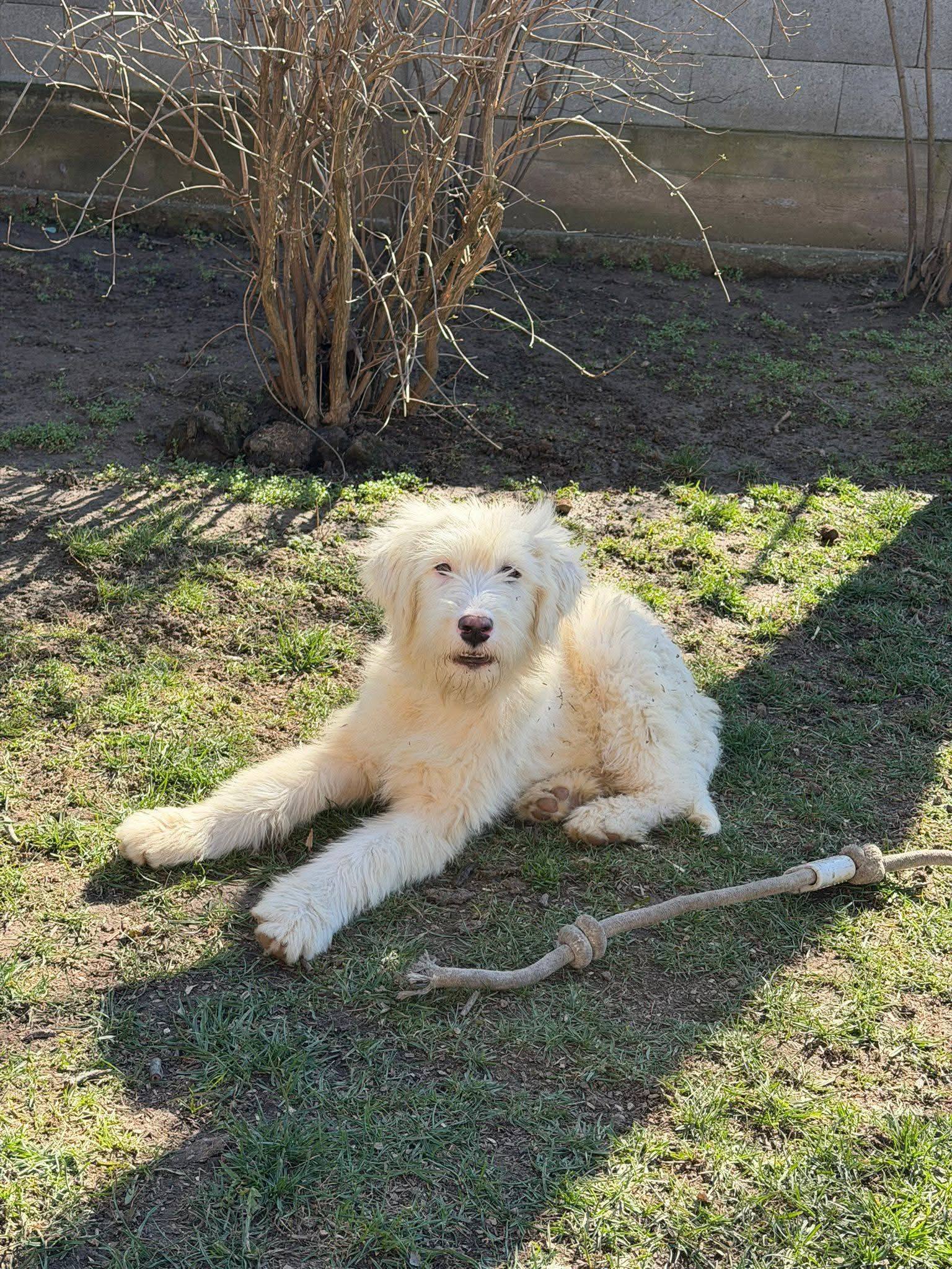 Sophie (Frizzy girl) 🩷