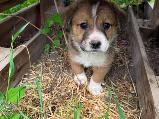 Ottis🩵