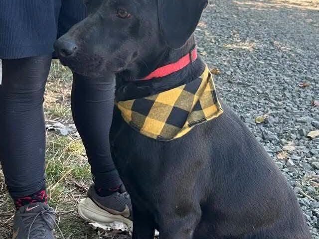 Ben 💙