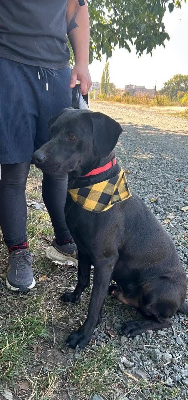 Ben 💙