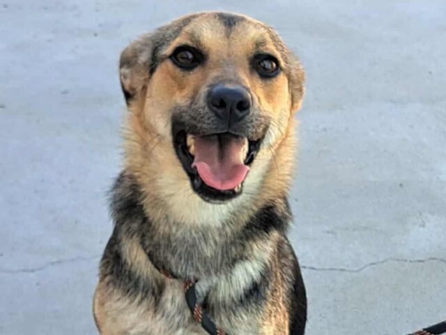 Emma 🩷