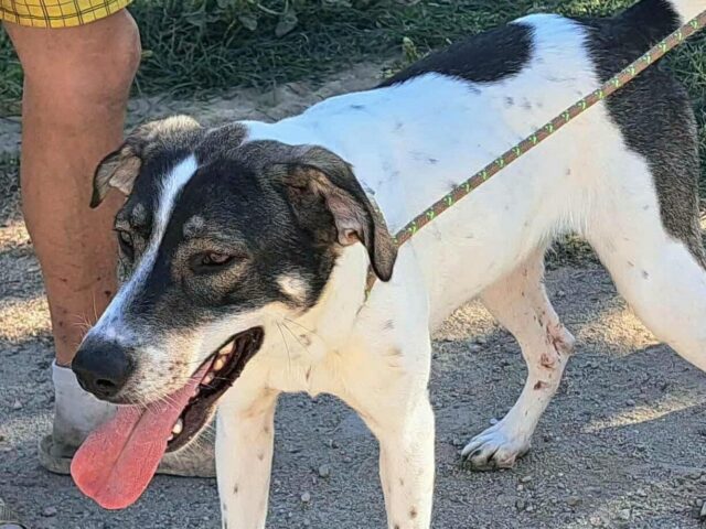 Lotti 🩷